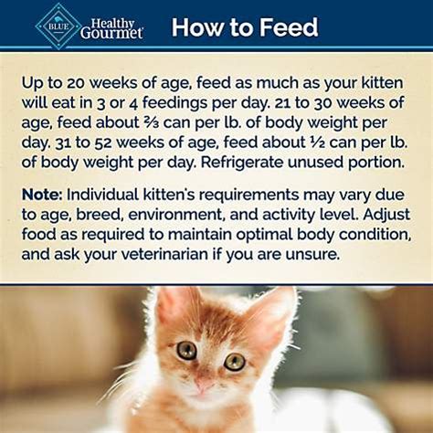 6 measuring out the food. Wet Cat Feeding Chart By Age