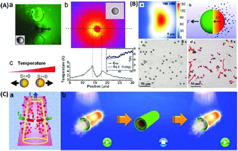 Browse the user profile and get inspired. Light-induced temperature-gradient propelled MNMs. (A ...