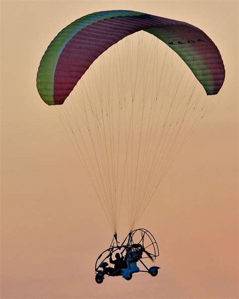 Parcul natural comana include pădurea și balta comana (al doilea loc din țara că biodiversitate, după deltă dunării), și rezervațiile științifice de ghimpe și bujor sălbatic. Parcul Natural Comana din Giurgiu | PLANIADA