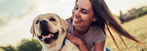 Our veterinary clinic at banfield pet hospital provides the best vet care for your cat, dog or other pet. Arnold Animal Hospital | Veterinarians in Arnold, MO