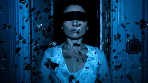 Strickland finds both humour and pathos in the situation of cynthia and evelyn, who are every bit as trapped as the insects they collect and catalogue. 'The Duke of Burgundy' Focuses on Its Visuals - The New ...