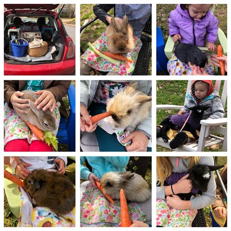 Every car is wired for music and train depot can also be added. MOBILE PETTING ZOO | Winterpast Farm