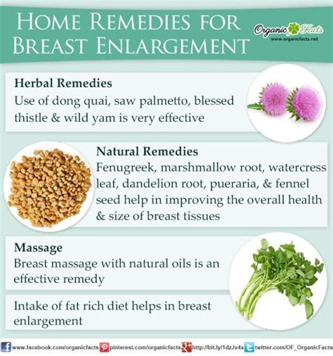 Pin on Health - ESSENTIAL OILS