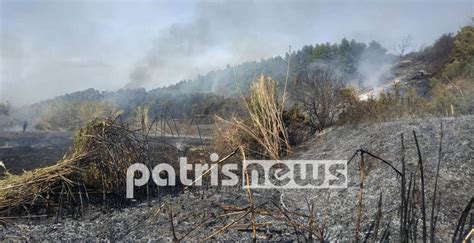 Φωτιά ξέσπασε στην ανδρίτσαινα ηλείας το μεσημέρι της παρασκευής. Φωτιά απείλησε σπίτια χωριού στην Ηλεία (pics, video)