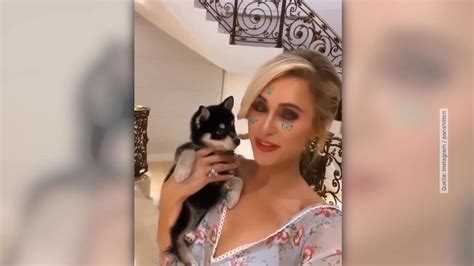 The hottie & the nottie. Paris Hilton: Freund hat ihr einen Hund zum Jahrestag ...