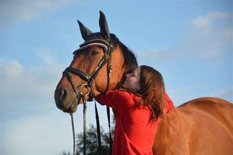 Die ganzen folgen gibt es auf sat1.de und auf joyn zu sehen. Mein bester Freund 💗 - Mein Pferd - Mein Freund