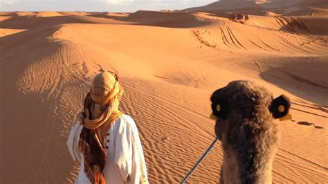 This fact is about the highest and lowest temperatures in sahara desert. Camel ride through the Sahara desert - YouTube