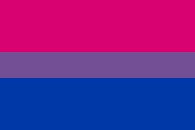 Tres colores que representan la heterosexualidad, la homosexualidad y la. Lille Skvat: La bandera del orgullo bisexual