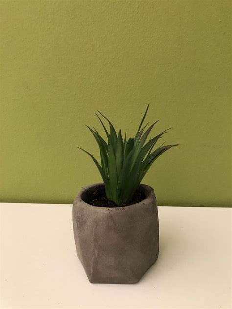 Combine the minimal planter with a delicate plant as you probably noticed already, i am a big fan of plants give a space that extra detailed touch without being too prominent. set of 4 small geometric Concrete Planters | Geometric ...