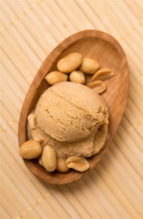 Maybe you would like to learn more about one of these? Almond Milk Ice Cream Recipes: Dairy Free Ice Cream, Keto ...