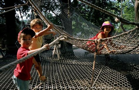 4 месяца назад 253 21:18. Three young children playing on a climbing net in a public ...