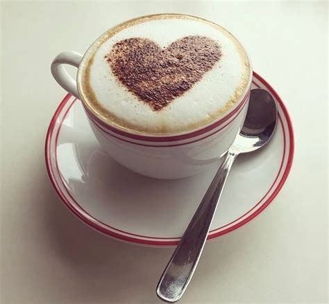 The hallmarks of a modern kitchen are an uncluttered facade and a sleek overall look. The Modern Kitchen, Kenilworth - Restaurant Reviews ...