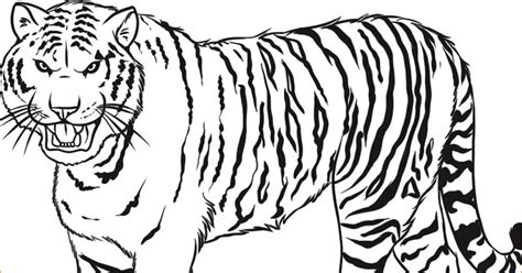 Download now singa kurus dengan buntut putus di kebun binatang ini. 33++ Gambar Pola Binatang Kartun - Kumpulan Gambar Kartun