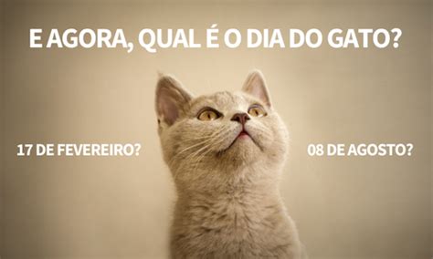 Parte da visão do humanismo social cristão, debatendo a sociedade do futuro. Afinal, qual é o dia mundial do gato? - Riscas, o gatinho ...