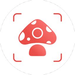 If you aren't sure of the type of the mushroom in front of you, you can also check it with the app to identify the mushroom. Picture Mushroom - Mushroom ID App Ranking and Store Data ...