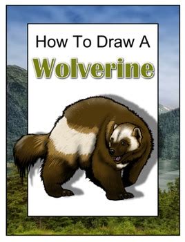 We did not find results for: How to Draw a Wolverine by Drawing with John | Teachers ...