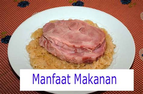 Makanan yang mengandung protein hewani cenderung lebih tinggi nutrisi dibanding makanan nabati. √ 20 Manfaat Makanan Bagi Manusia dalam Keseharian | Guru ...