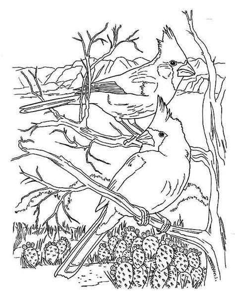 Are they searching for one thing fun to do? Awesome Animal Cardinal Bird Coloring Page : Coloring Sun ...