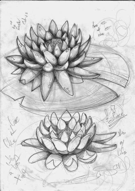 We did not find results for: 49 Gambar Sketsa Bunga Matahari Mawar Tulip Sederhana