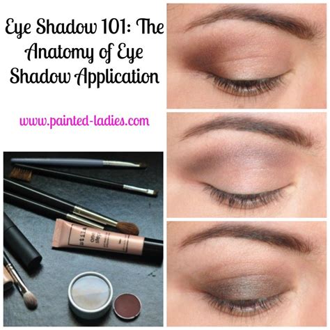 This will help to ensure that you can see the liner when your eyes are open. Breaking Down Beauty: The Anatomy of Eyeshadow Shapes - Painted Ladies | Eye makeup application ...