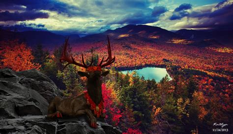 Autumn King | The Endless Forest | Fall desktop ...