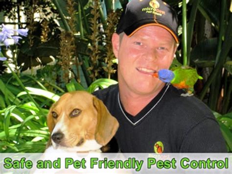 We treat all pests and are sydney's white ant and termite specialists. Micropest - Pest Control Sydney