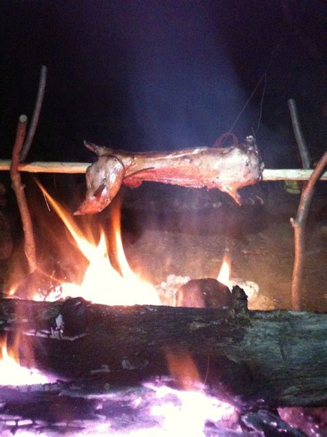 They spit roast some mutton and cook up some hearty period fare. Cooking Meat for Survival - The Spit Roast | Cooking meat ...