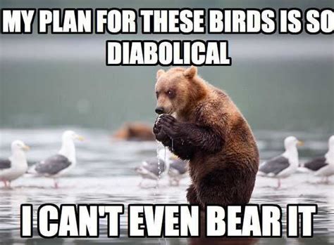 Beery times | Cute animals with funny captions, Funny animals, Funny wild animals