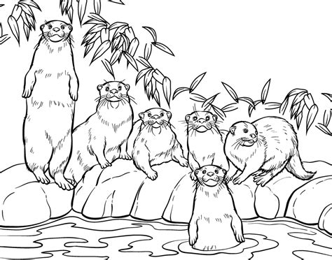 Zoo animal coloring pages are always fun activity to help kids to enhance their skills. Printable Zoo Coloring Pages - Coloring Home