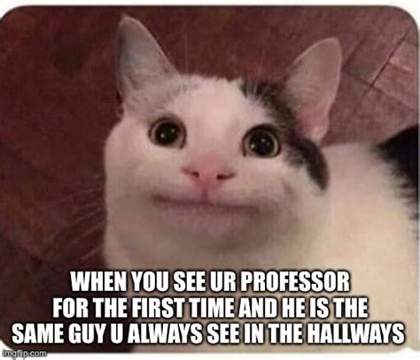 He's essentially saying even though i'm asking you nicely you should know that i can easily force you to back down. polite cat Memes & GIFs - Imgflip