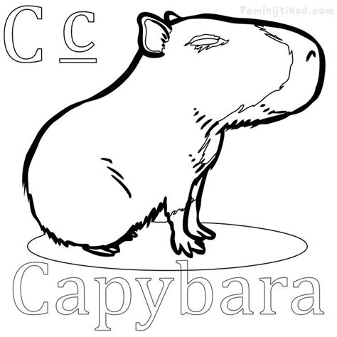 There are many different capybara coloring pages that you can download or print for free. Easy Capybara Coloring Pages