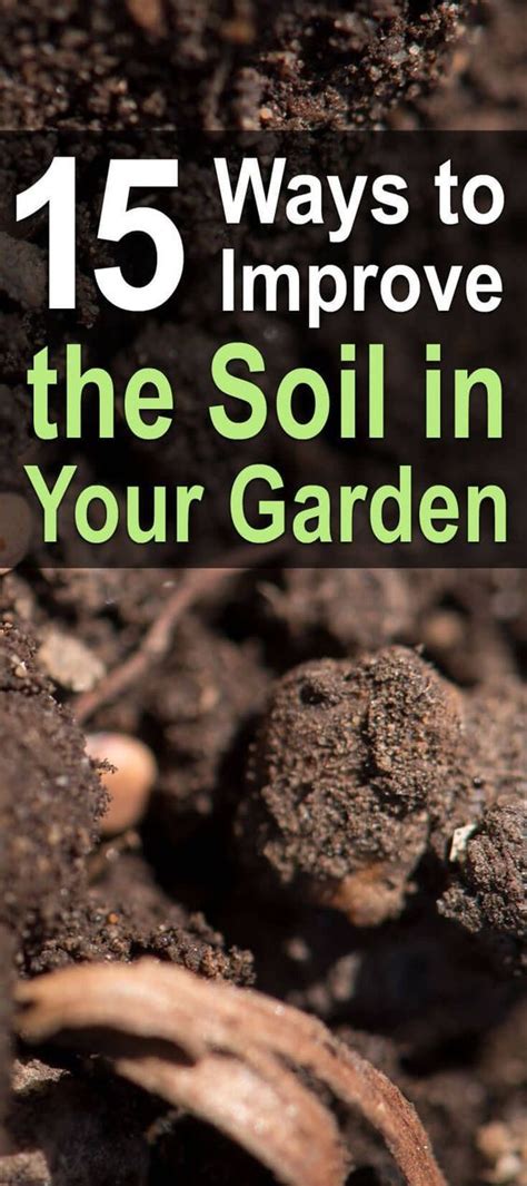 Small gardens or even balcony spaces have a lot going for them, and can bring you just as much joy as a larger plot! 15 Ways To Improve The Soil In Your Garden - Homestead ...
