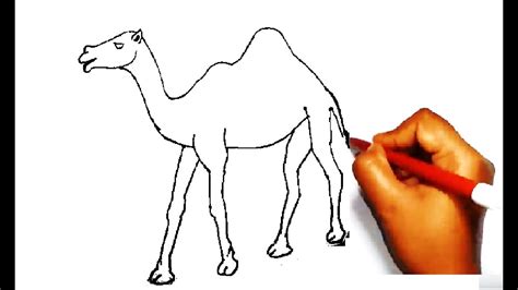 Subscribe to my channel to get more drawing videos.▽ visit to my channel :➞. How To Draw a Camel. - YouTube