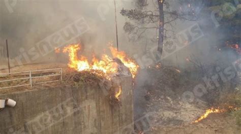 Όπως μετέδωσε το alfavita.gr έχει σημειωθεί νέα πυρκαγιά πίσω από την πετρούπολη στην περιοχή των άνω λιοσίων. ΤΩΡΑ: ΠΥΡΚΑΓΙΑ ΣΤΗΝ ΑΛΦΕΙΟΥΣΑ ΗΛΕΙΑΣ | Εφημερίδα "Στόχος" - Stoxos newspaper