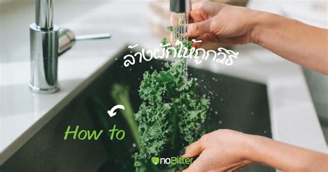 มา ล้างผัก ให้ถูกต้องก่อนนำไปทำอาหารกันเถอะ! - noBitter