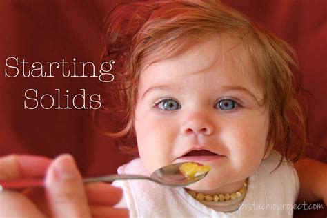 Starting Solids: When Should You Start Solids - The Pistachio Project