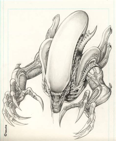 Tumblr is a place to express yourself, discover yourself, and bond over the stuff you love. Alien by keucha on @DeviantArt | Alien drawings, Alien ...