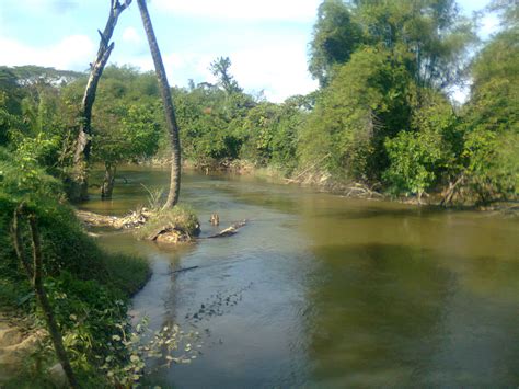 Kuala nerang is the district capital of padang terap district, kedah, malaysia. Jom mengail ikan: Semangat memburu sebarau aka hampala