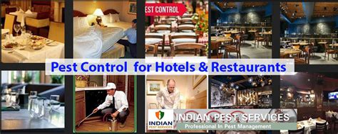 Yesterday, i am so busy, a lot of different meeting schedules about pest control in all branches of restaurants geritos food house. Pest Control service for Hotels & Restaurants