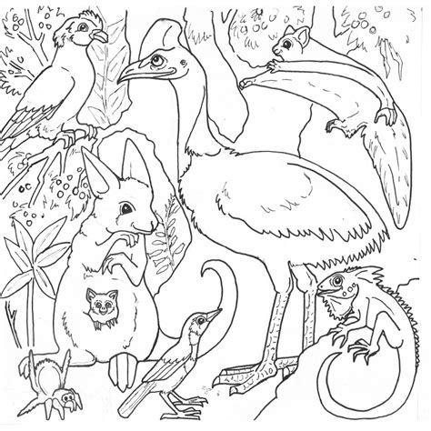 Click on an animal below to get the printable version. Australia Coloring Pages - Coloring Home