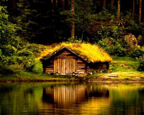 What are the benefits of living in a remote cabin? The Flying Tortoise: More Simple Rustic Delights From ...