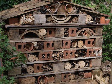 Only about seven bee species make honey. 14 Easy & Eco Friendly Ways to Amuse the Kids at Home this Summer