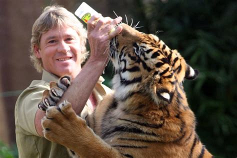 This is the supposed footage of steve irwins death. Man attacked by tiger at Steve Irwin's Australia Zoo ...