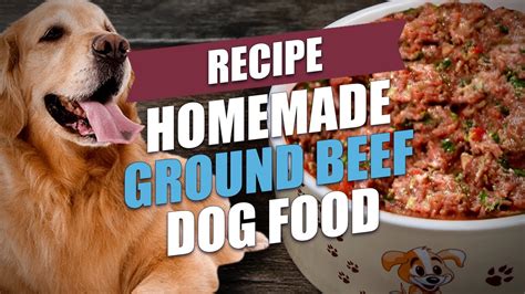 Maybe you would like to learn more about one of these? Homemade Ground Beef Dog Food Recipe - YouTube