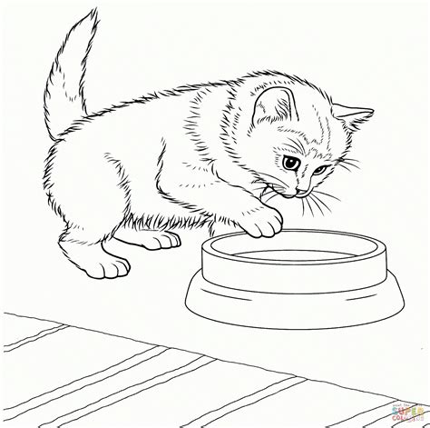 Bastelanleitung tiere zum ausdrucken katze. Katze Ausmalen - kfzversicherungonline.info