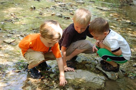 Encouragement and Resources for the Daily Life: Exploring the Creek