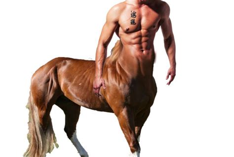Half man, half horse specifically the torso, head and arms of a man, attached where the neck of a horse would have been, and the four legs, body and tail of a horse. half human half horse - Google Search | Centaur, Horses ...