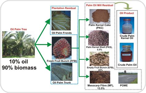 Produksi minyak sawit di malaysia (id); Biomass Industrial Innovative Projects: EFB Pellets Great ...