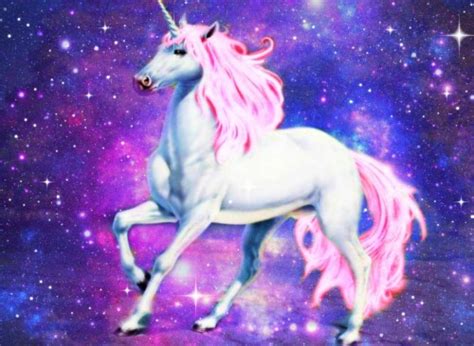 Here are only the best unicorns wallpapers. Unicorn And Rainbow (#261429) - HD Wallpaper & Backgrounds Download