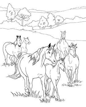 Mare and foal enjoying the sunshine. coloring sheets, word activities and more on Breyer's ...